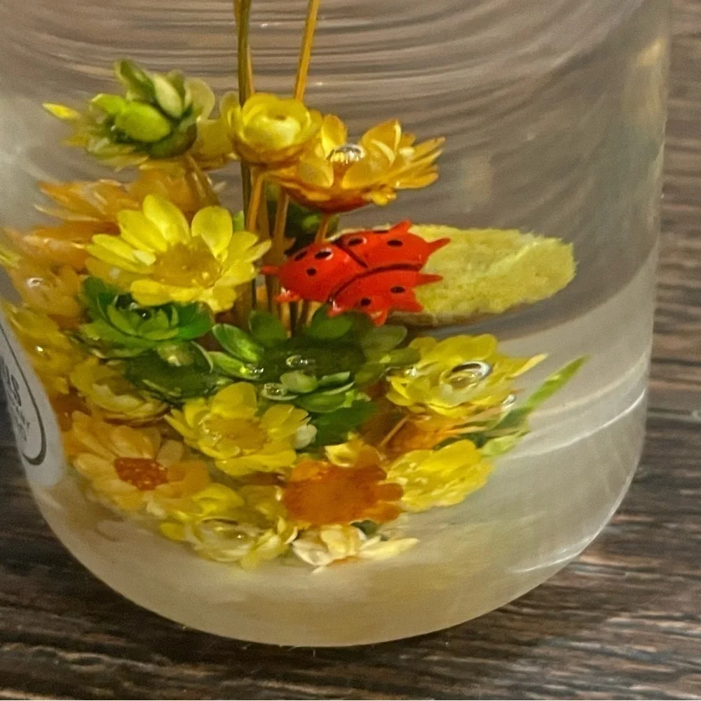 Vintage Daisyglas Company 50s/60s MCM Lucite/Acrylic Floral/Ladybug Paperweight